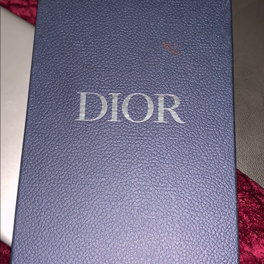 Dior sneakers